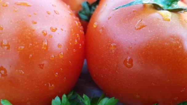 Saborosos Tomates Vermelhos Ervas Frescas Derramadas Com Água Fria Fresca — Vídeo de Stock