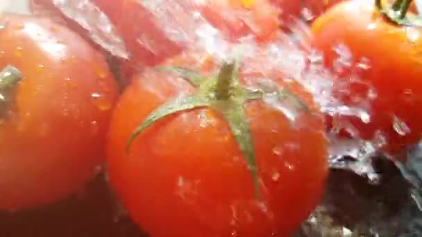 Sabrosos Tomates Rojos Hierbas Frescas Vertidas Con Agua Fría Fresca — Vídeo de stock