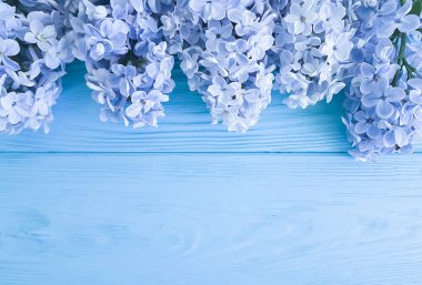 ahşap arka plan üzerinde güzel taze leylak