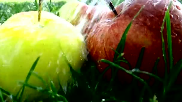 Μήλο Κόκκινο Ρίχνει Νερό Καλοκαίρι Αργή Κίνηση — Αρχείο Βίντεο