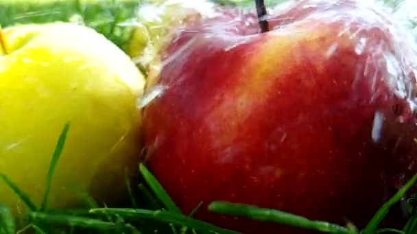 Jabłko Czerwony Wylewanie Wody Latem Spowolnienia — Wideo stockowe