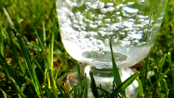 Glas Wasser Gießt Gras Zeitlupe Schuss — Stockvideo