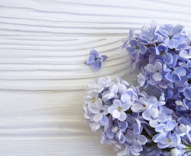 Ahşap üzerinde güzel leylak çiçeği