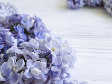 Beyaz ahşap üzerinde taze Lila buket 