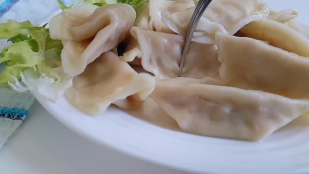 Dumplings Een Plaat Slow Motion — Stockvideo