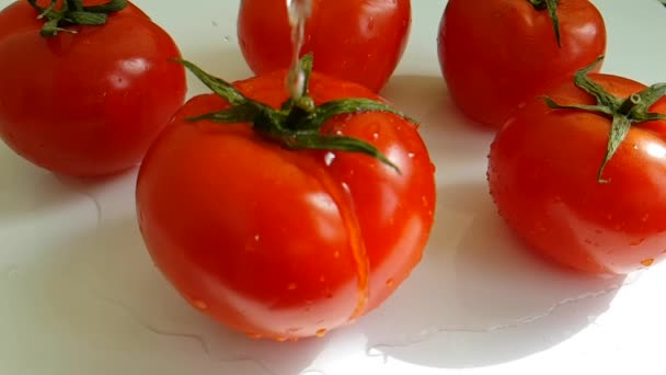 熟したトマトは水を注ぐ スローモーション撮影 ウェット — ストック動画