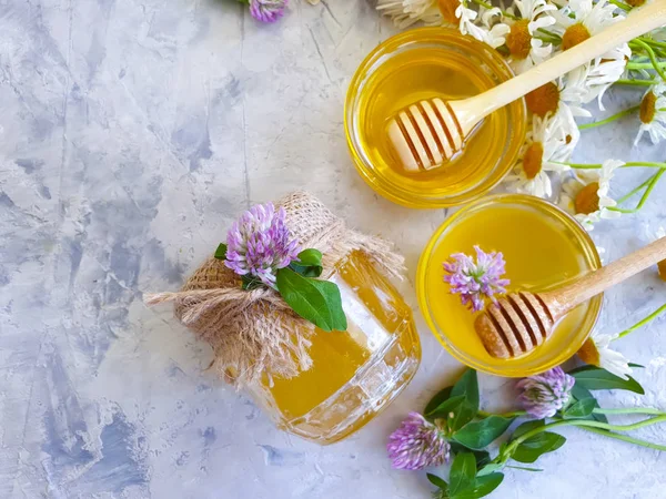 Frische Honig Gänseblümchen Blume Klee Auf Betongrund — Stockfoto