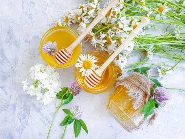 Taze bal papatya çiçeği, çimentoda yonca