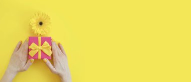 Renkli bir arka planda Gerbera çiçeği hediye paketi