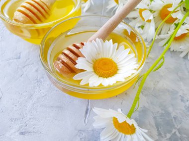 Beton arka planda taze bal papatyası çiçeği