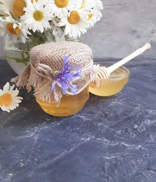 Frische Honig Gänseblümchen Blume Auf Betongrund — Stockfoto