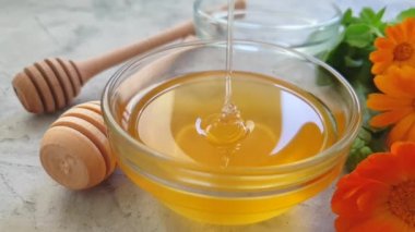 beton arka plan üzerinde taze bal çiçeği calendula