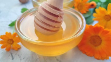 beton arka plan üzerinde taze bal çiçeği calendula