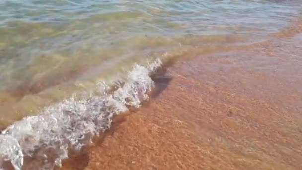 Άμμος Θαλάσσης Αργή Κίνηση — Αρχείο Βίντεο