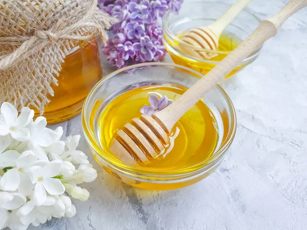 Flor Miel Fresca Lila Sobre Fondo Hormigón — Foto de Stock