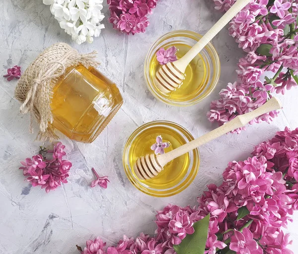 Flor Miel Fresca Lila Sobre Fondo Hormigón — Foto de Stock