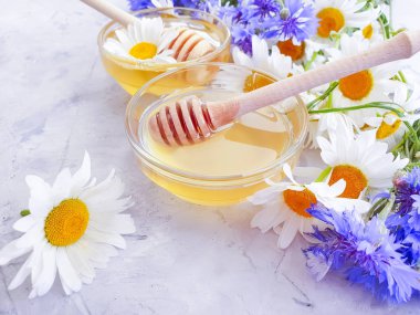 Beton arka planda taze bal papatyası çiçeği