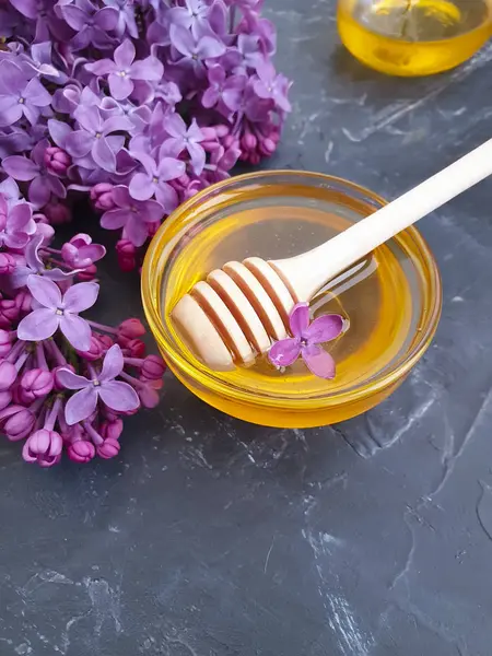 Fresh Honey Flower Lilac Gray Concrete Background — Stock Photo, Image