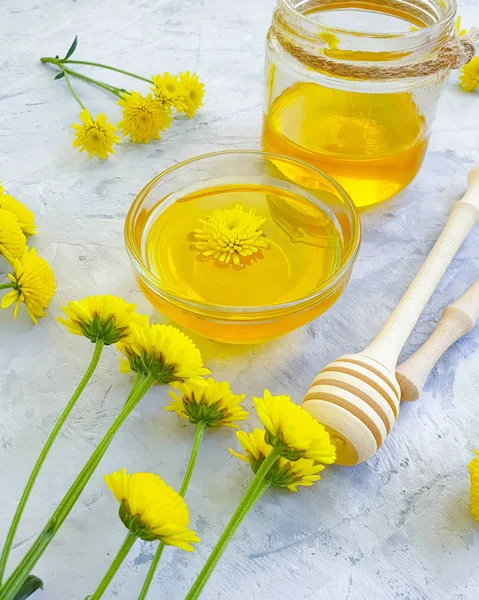 Miel Frais Fleur Jaune Sur Fond Béton Gris — Photo