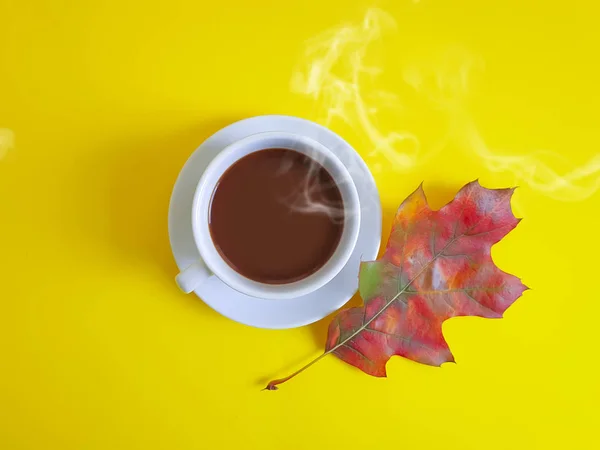 Tasse Kaffee Herbstblätter Auf Farbigem Hintergrund — Stockfoto