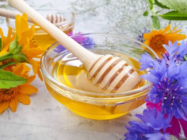 beton arka plan üzerinde taze bal çiçeği calendula