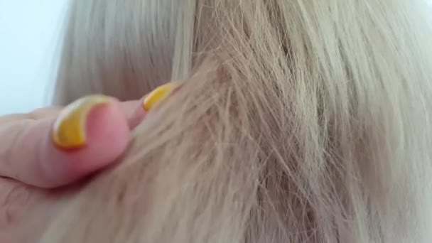 Θηλυκό Χέρι Αγγίζει Ξανθά Μαλλιά — Αρχείο Βίντεο