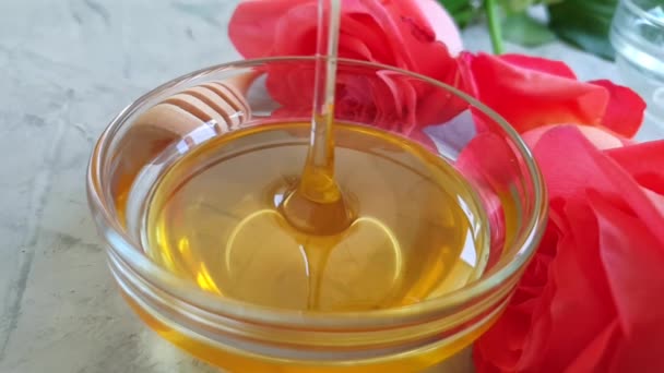 Свіжа Квітка Медової Троянди Бетонному Фоні — стокове відео