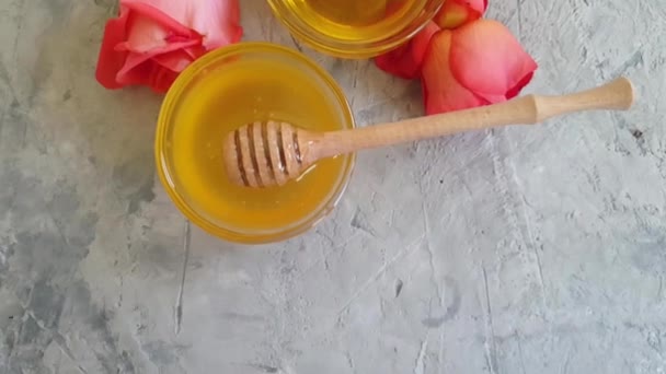 Fresh Honey Rose Flower Concrete Background — Stock Video
