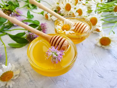 Beton arka planda taze bal papatyası çiçeği