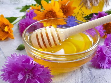 beton arka plan üzerinde taze bal çiçeği calendula