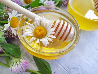 Beton arka planda taze bal papatyası çiçeği