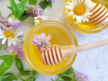 Beton arka planda taze bal papatyası çiçeği