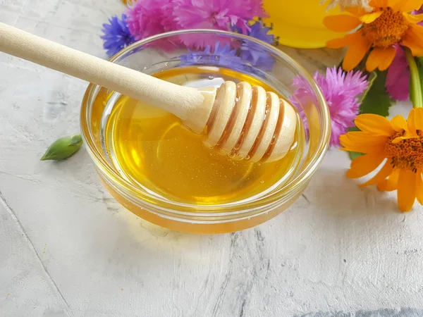 Flor Miel Fresca Caléndula Sobre Fondo Concreto — Foto de Stock