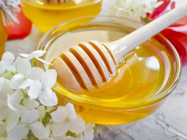 beton arka plan üzerinde taze bal gül çiçek