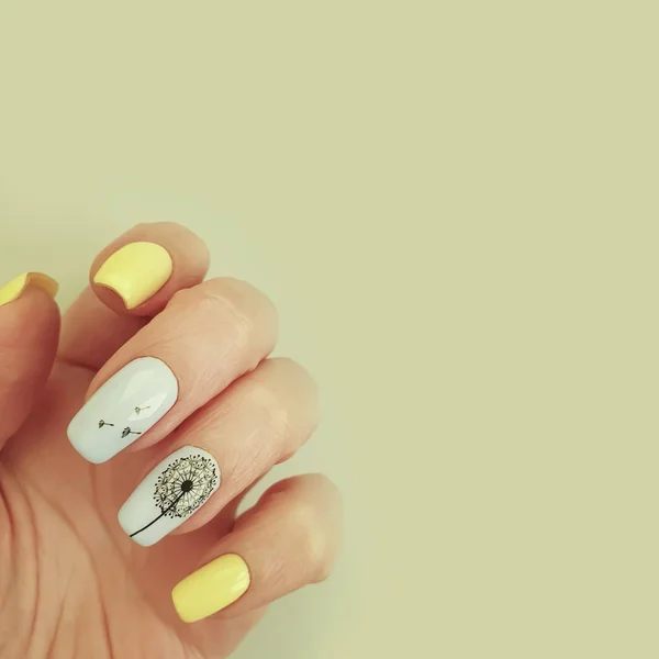 Female Hand Beautiful Manicure Colored Paper Background — 스톡 사진