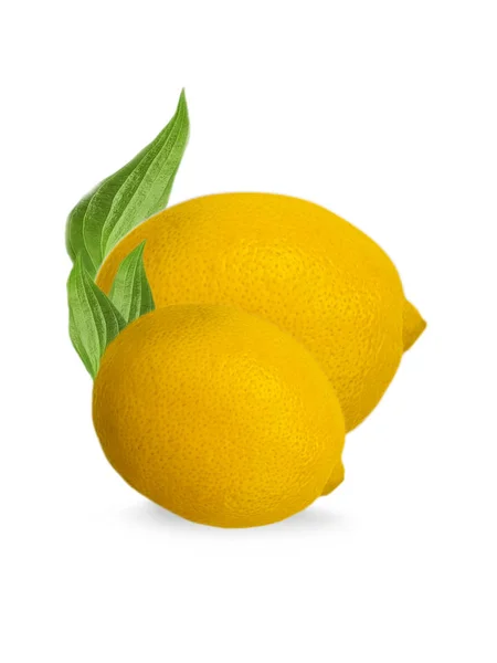 Limone Intero Isolato Fondo Bianco — Foto Stock