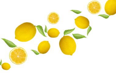 Beyaz arka planda tüm limon deseni