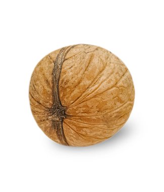 Beyaz arka plan üzerinde izole bütün ceviz