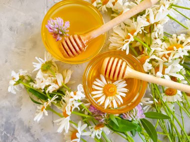 Taze bal papatya çiçeği, çimentoda yonca