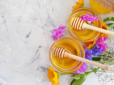 beton arka plan üzerinde taze bal çiçeği calendula