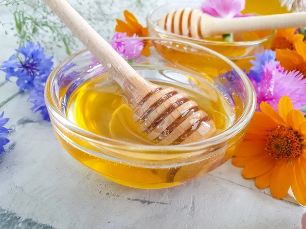 Flor Miel Fresca Caléndula Sobre Fondo Concreto —  Fotos de Stock