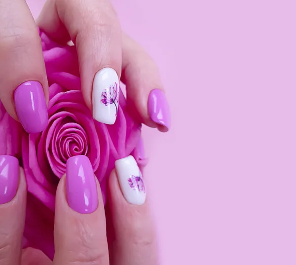 Female Hands Beautiful Manicure Rose Flower — Stock Photo, Image