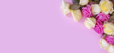 Renkli arka plan çerçevesinde gül buketi