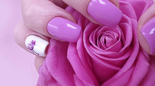 Mãos Femininas Segurando Uma Caixa Presente Buquê Rosas Fundo Colorido — Fotografia de Stock