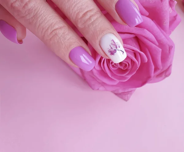 Weibliche Hände Mit Einer Geschenkschachtel Einem Strauß Rosen Auf Farbigem — Stockfoto