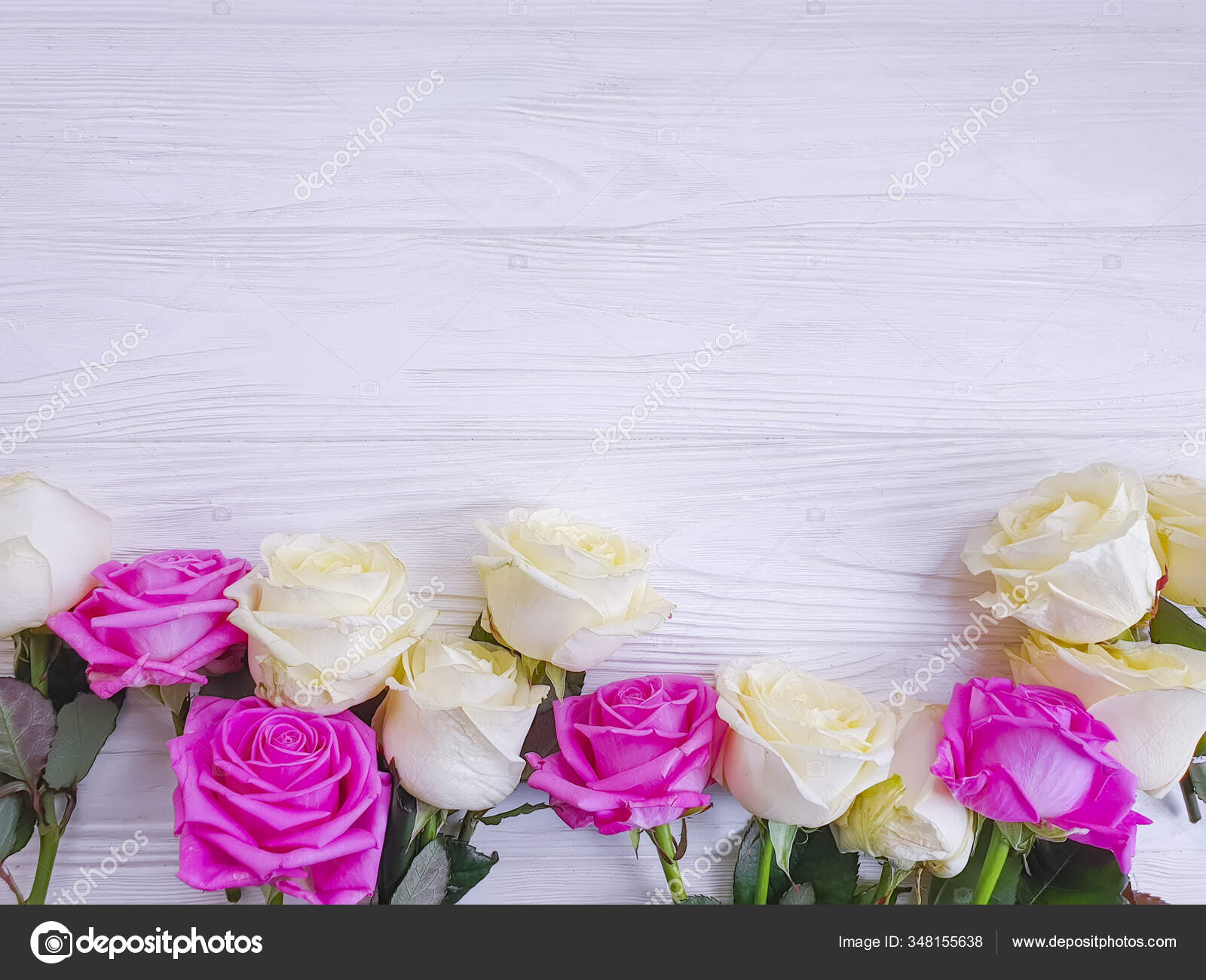 木の背景にバラの花束 ストック写真 C Tanyalovus