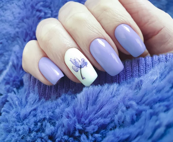 female hand nails beautiful manicure sweater
