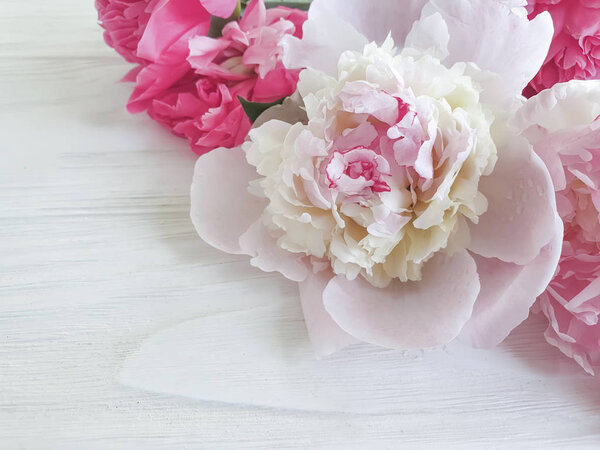 peony flower on frame wooden background
