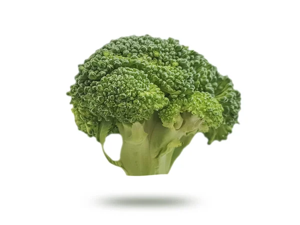 Broccoli Isolati Fondo Bianco — Foto Stock