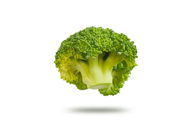 Broccoli Isolerad Vit Bakgrund — Stockfoto